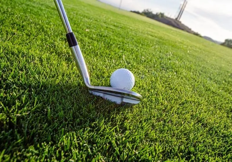 Albatross xảy ra khi người chơi hoàn thành một hố với số gậy ít hơn 3 gậy so với chuẩn par của hố đó