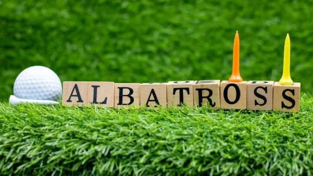 Albatross golf là gì và bí quyết đạt kết quả này trên sân