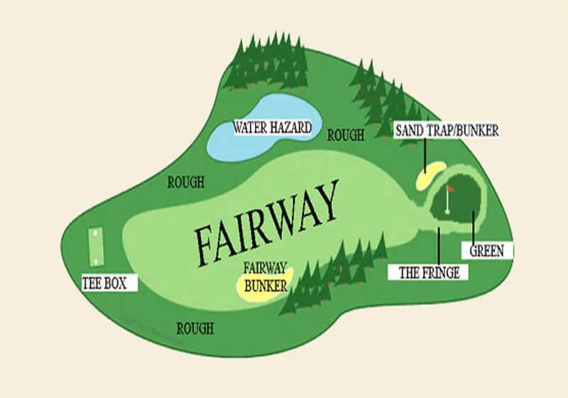 Fairway là khu vực lý tưởng để đưa bóng tới gần vị trí putt
