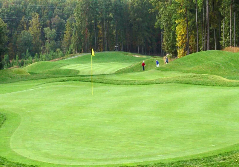 Các khu vực putting green thường được thiết kế có độ dốc 